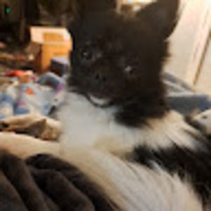 Meet your Posher, Genna